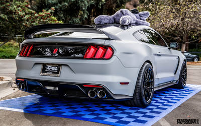2018 Ford Mustang | Joe Gatt's Ford Mustang GT350R on Forgeline One Piece Forged Monoblock VX1R Wheels