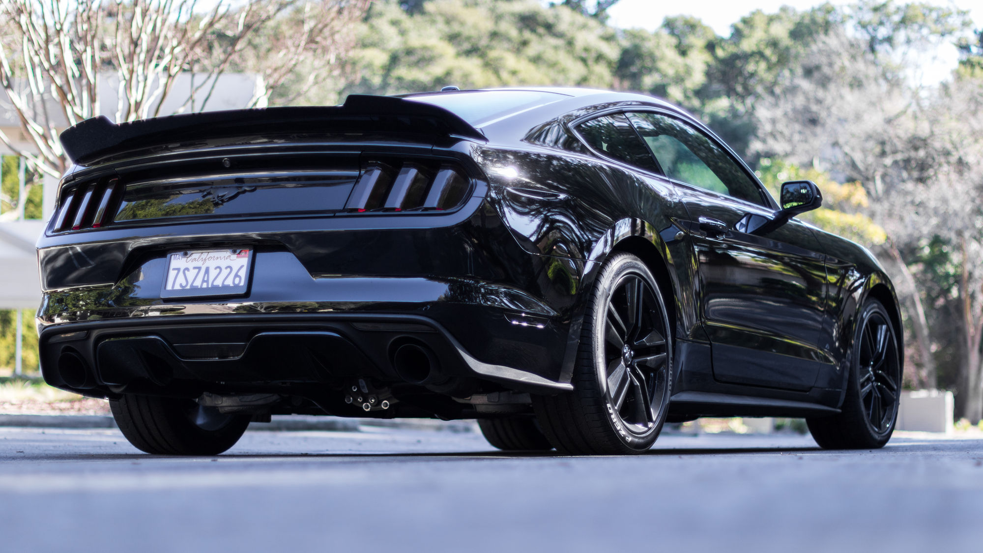    | Murdered Ecoboost