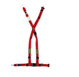 Schroth 4 Point Harness