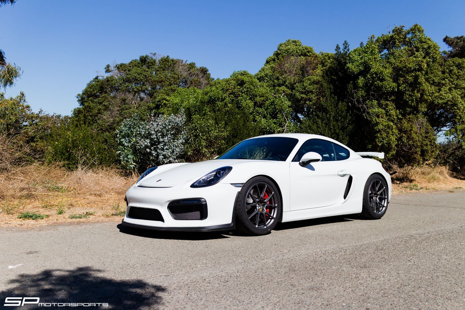 2016 Porsche Cayman | Dave's SP Motorsports-Tuned Porsche Cayman GT4 on Forgeline One Piece Forged Monoblock GS1R Satin Wheels