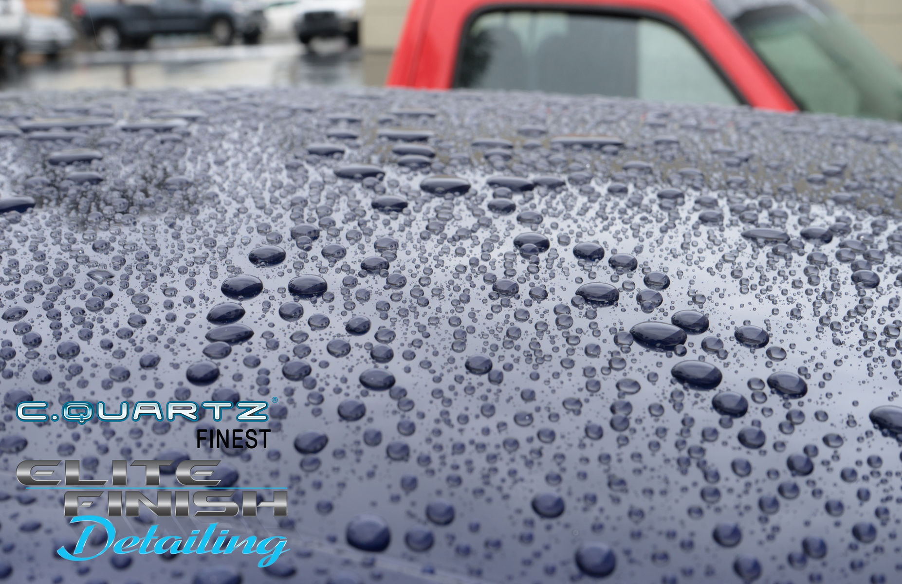    | The Auto Salon