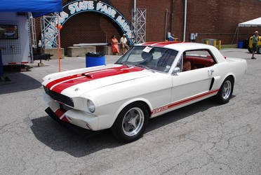 Mustang