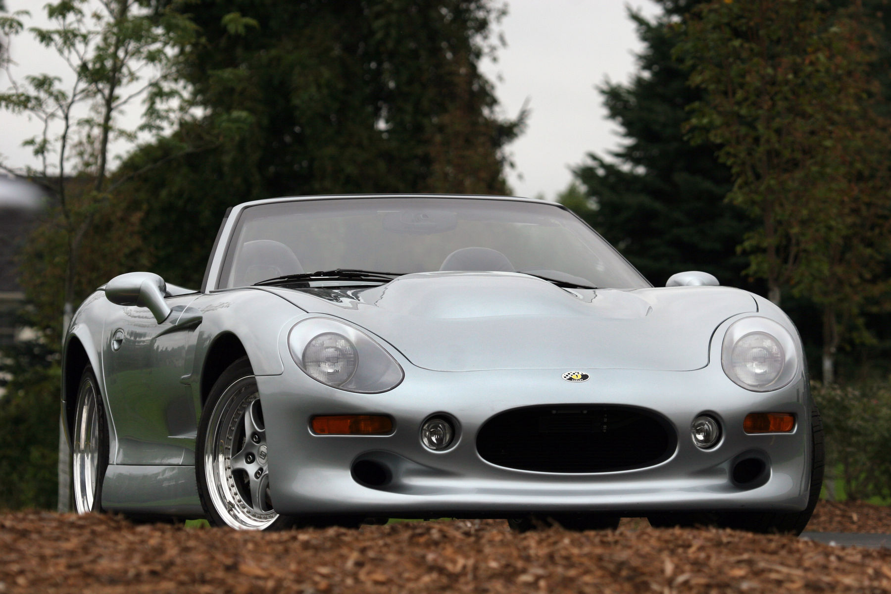 1999 Shelby Series 1 | 1999 Shelby Series 1