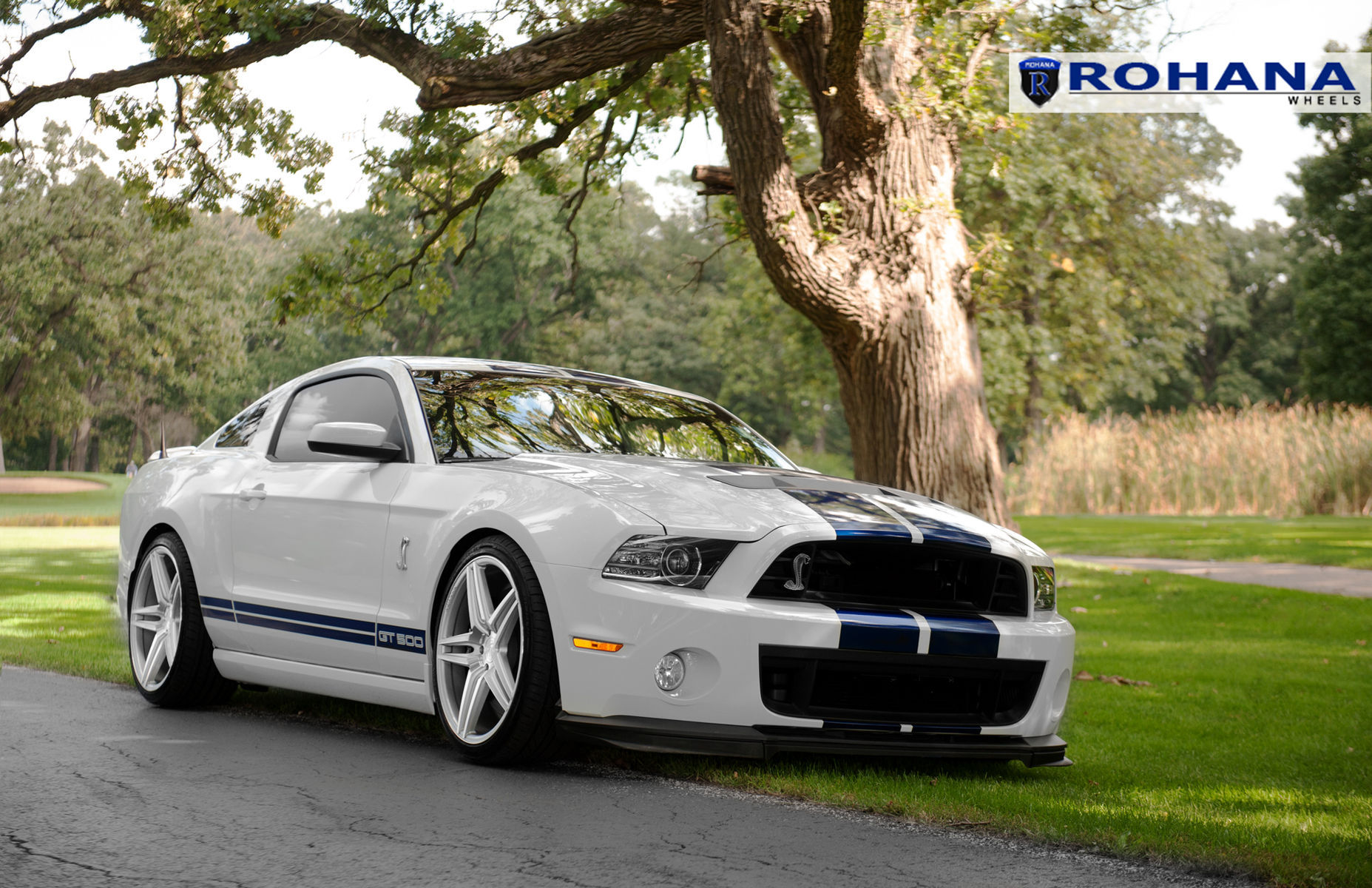  Ford Shelby GT500 | Ford Mustang GT500