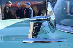 Fender Mirror