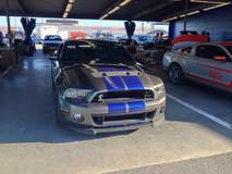 Mustang GT500 at Daytona