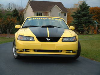 2004 Ford Mustang SVT Cobra | MRT Surfchaser