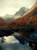 From Autumn To Winter