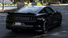 Murdered Mustang