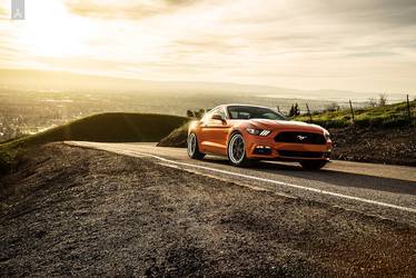 2015 Ford Mustang | Ford Mustang Sport Y5 Non Concave