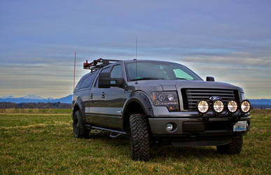 2010 Ford F-150 | 2010 Ford F150 Z Series - Front Shot