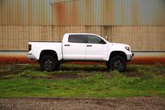 Timmon's Tundra
