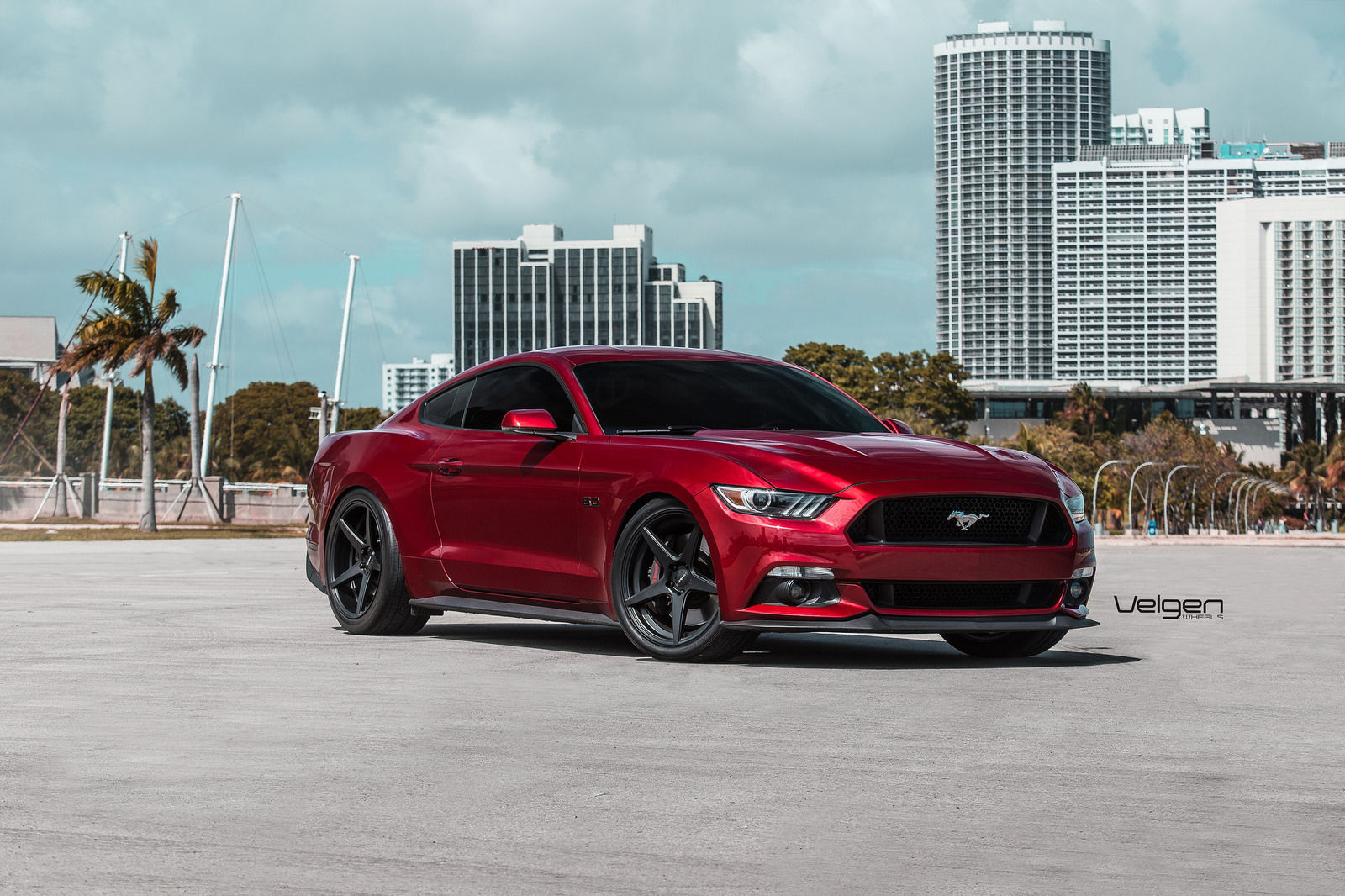 Mustang ruby red ridjaal ahmed