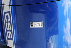 Carroll Shelby Mustang