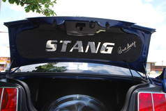 Carroll Shelby Mustang