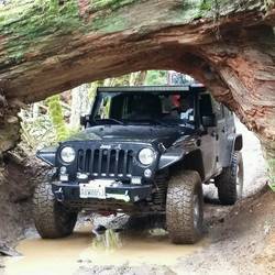2008 Jeep Wrangler | Cedar Tree Trail - TSF, OR