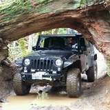 Cedar Tree Trail - TSF, OR