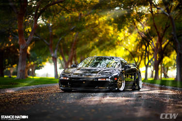 1993 Acura NSX | Black Acura NA1 NSX - Gold CCW LM20 Forged 3 Piece Wheels