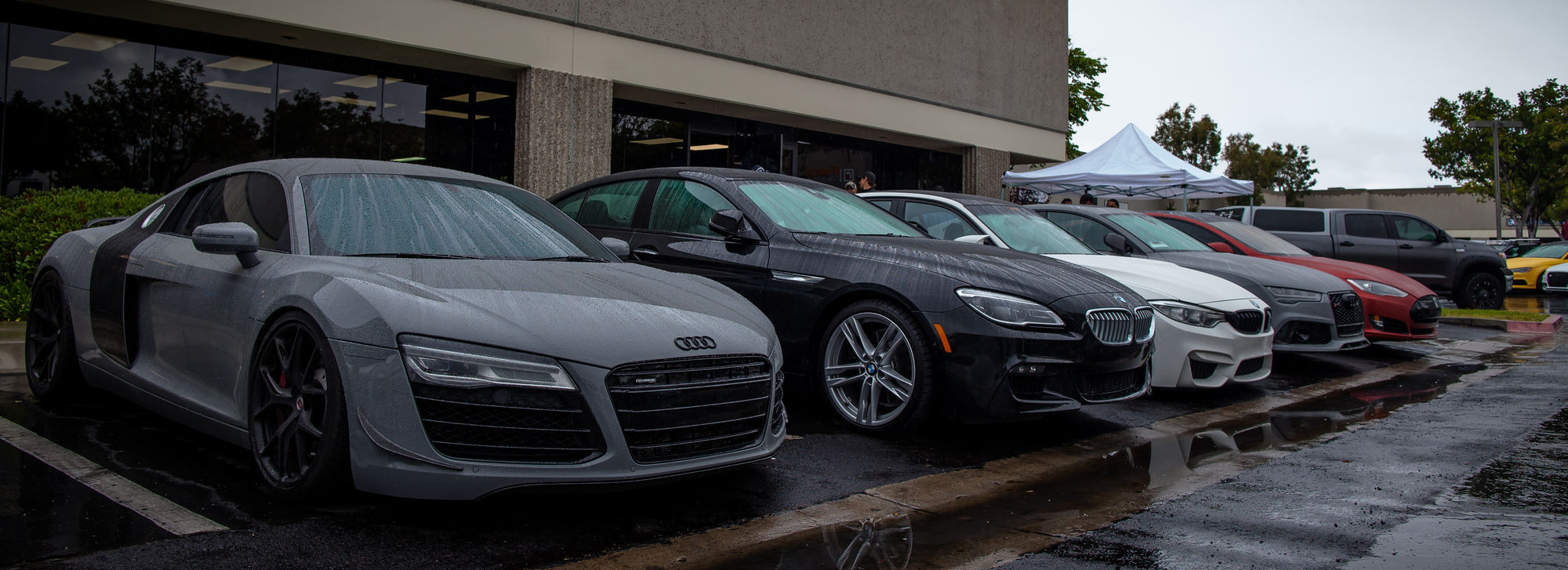 | The Auto Salon Grand Opening
