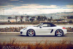 Porsche 981 Boxster S