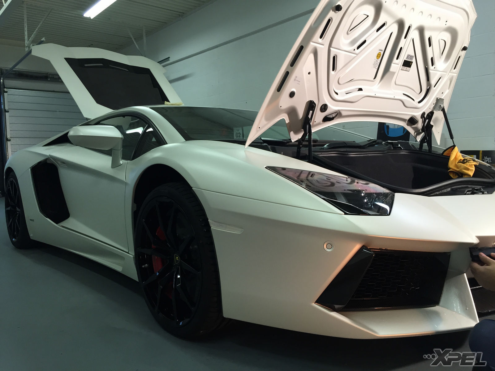 Lamborghini Aventador | XPEL STEALTH Satin-Finish clear bra installation
