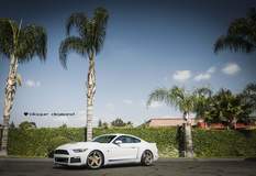 2015 Ford Mustang Roush Fitted With 20 Inch BD-21’s in Bronze with Chrome SS Lip