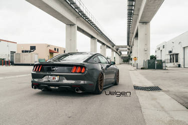 2015 Ford Mustang | Bagged S550 on Satin Bronze Velgen Wheels 