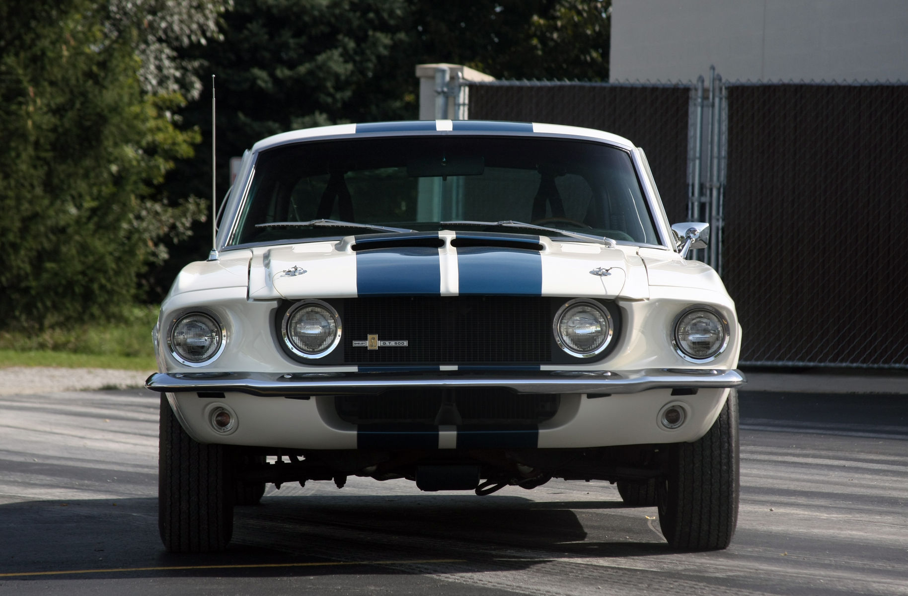 1967 Ford Mustang | 1967 GT500