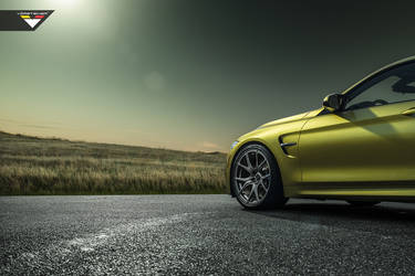 2013 BMW 8 Series | BMW  F82 M4