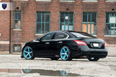 Black Nissan Maxima - Stance Shot