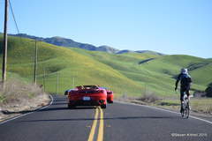 Bike Lane
