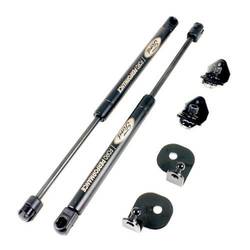Ford Performance hood struts - M-16826