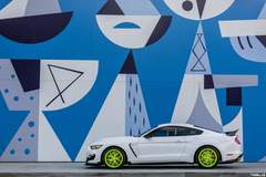 Ford Shelby GT350R