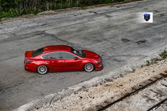 Custom Nissan Maxima - Top Shot