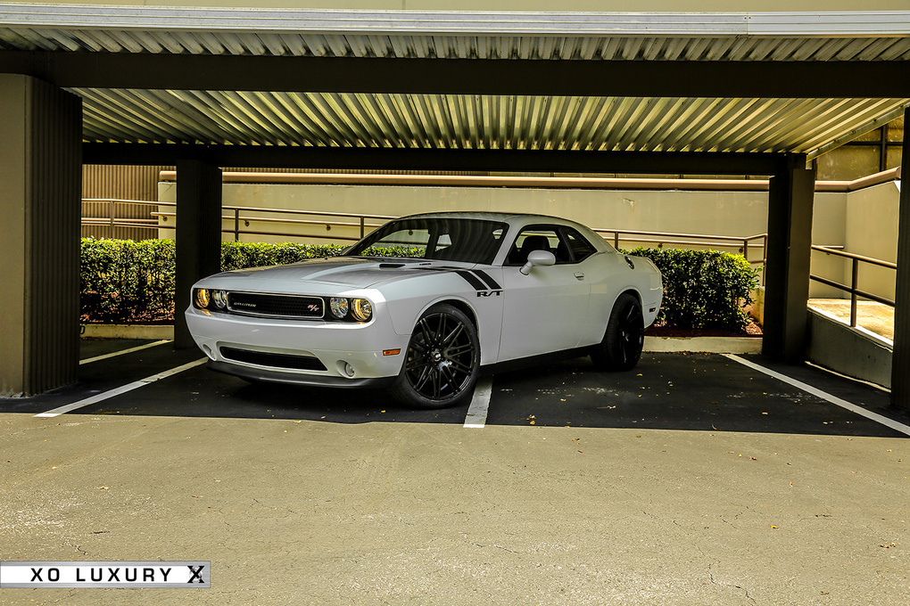 2013 Dodge Challenger | '13 Dodge Challenger on XO Milan's