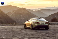Gold Jaguar F-Type - Rear Profile