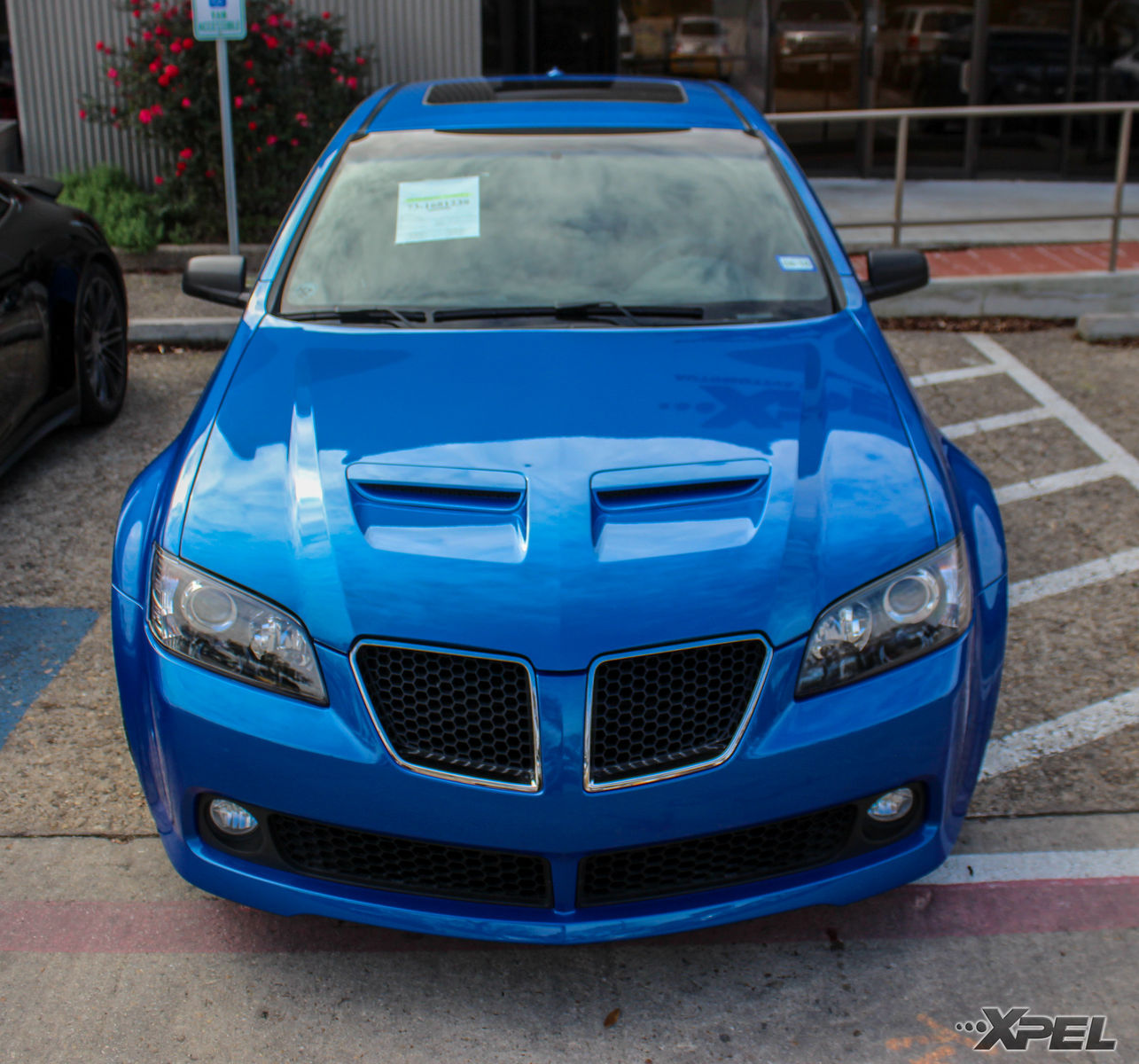  Pontiac G8 | Pontiac G8 with XPEL ULTIMATE self-healing clear bra