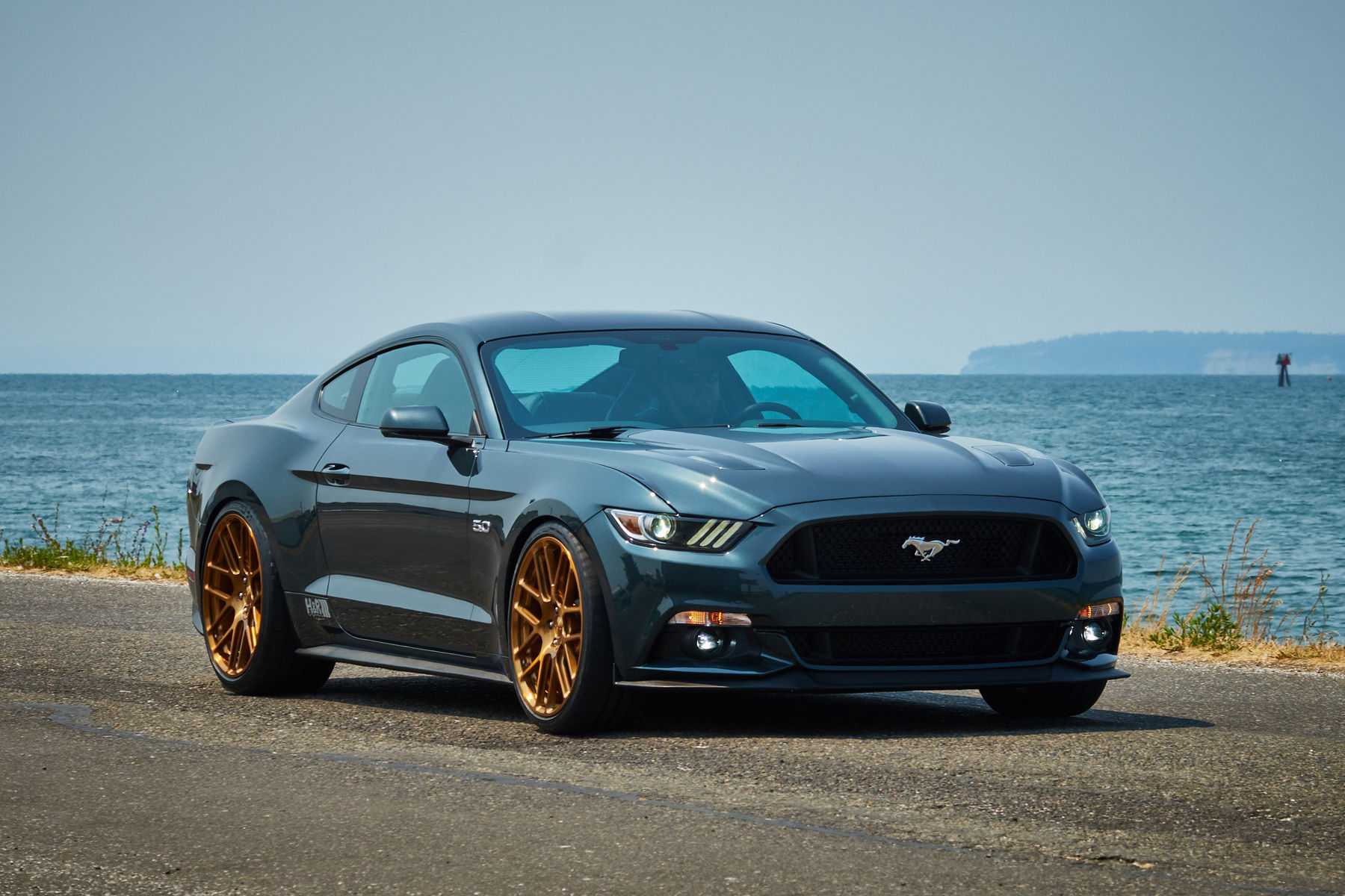 2015 Ford Mustang | H&R Springs Mustang on Forgeline SE1 Wheels