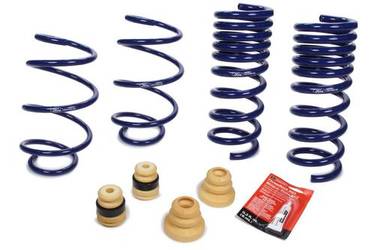Ford Performance lowering springs
