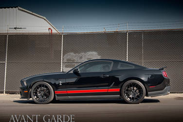 Ford Shelby GT500