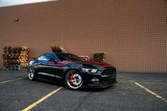MRT Sport Touring EcoBoost Mustang