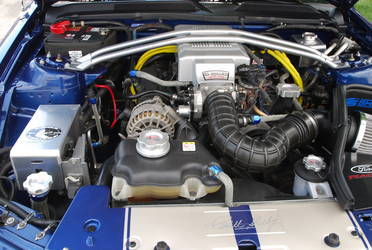 Carroll Shelby Mustang