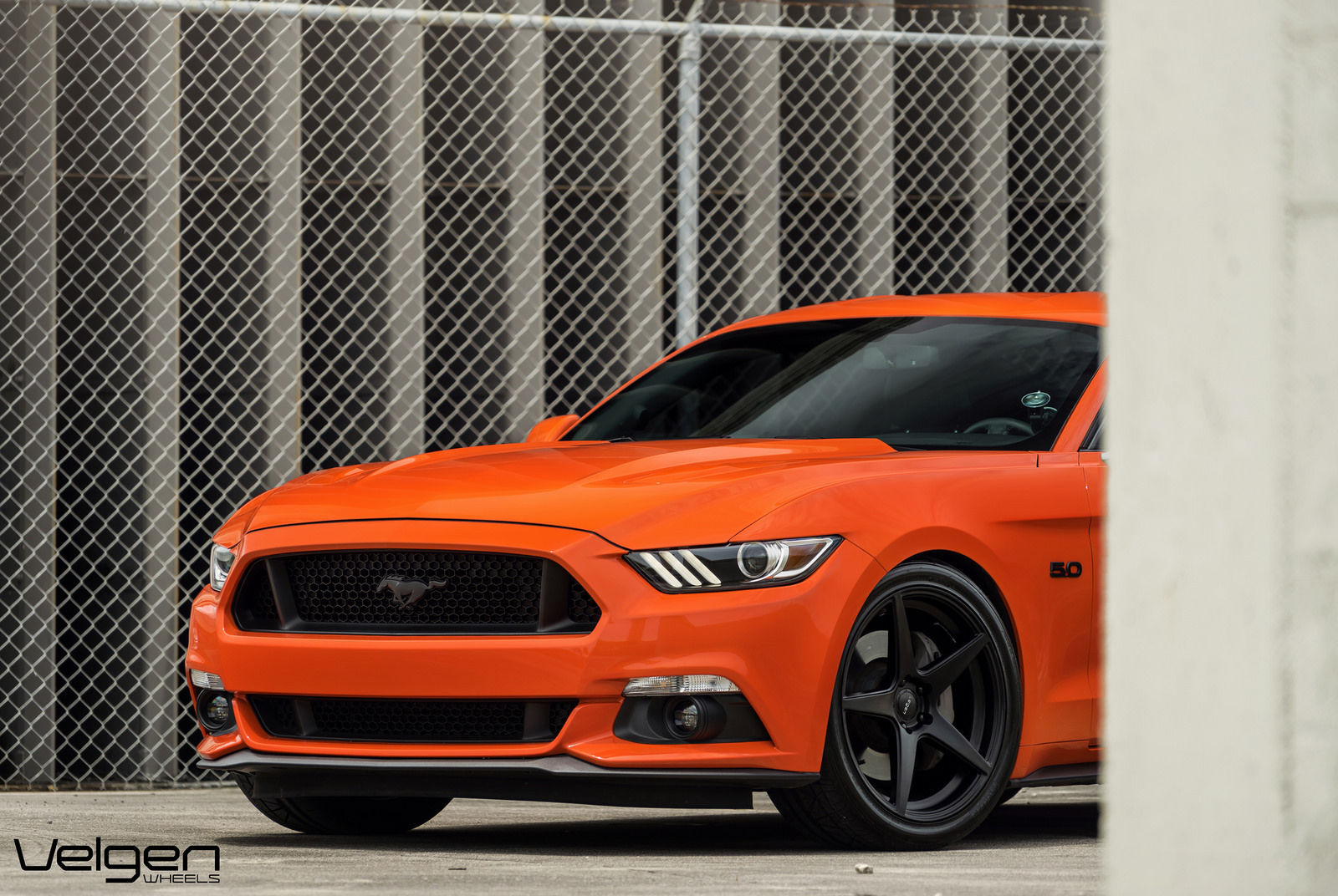 2016 Ford Mustang | Competition Orange Mustang GT | Classic5 Satin Black