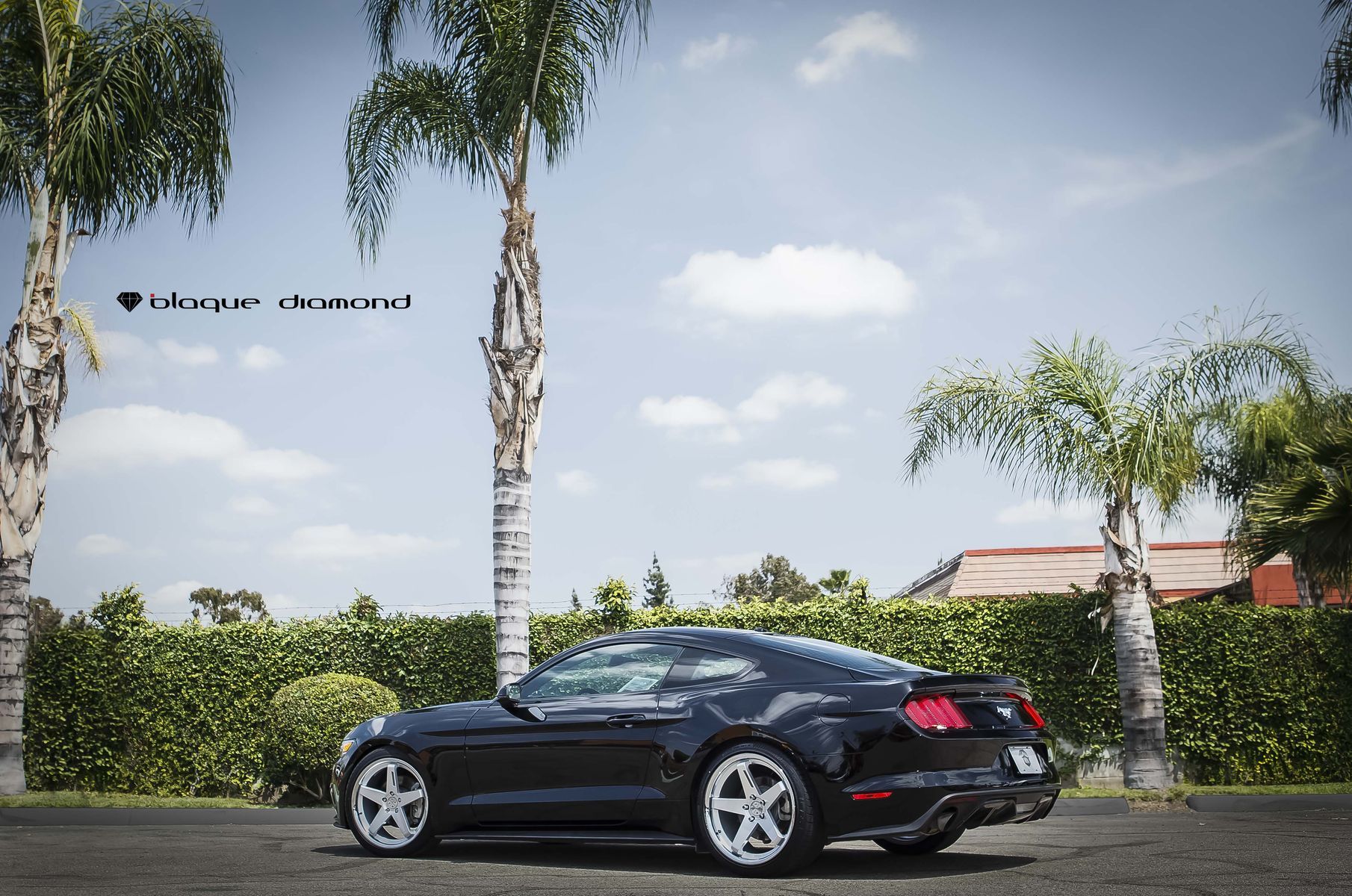 2016 Ford Mustang | 2016 Ford Mustang Ecoboost Fitted With 20 Inch BD-21’s in Silver With Chrome SS Lip