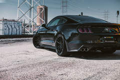 Ford Mustang - Tinted Lights