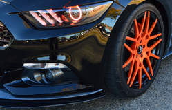 2015 TKO Mustang by MRT