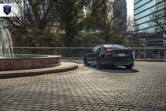 Black Audi S5 - Rear Stance