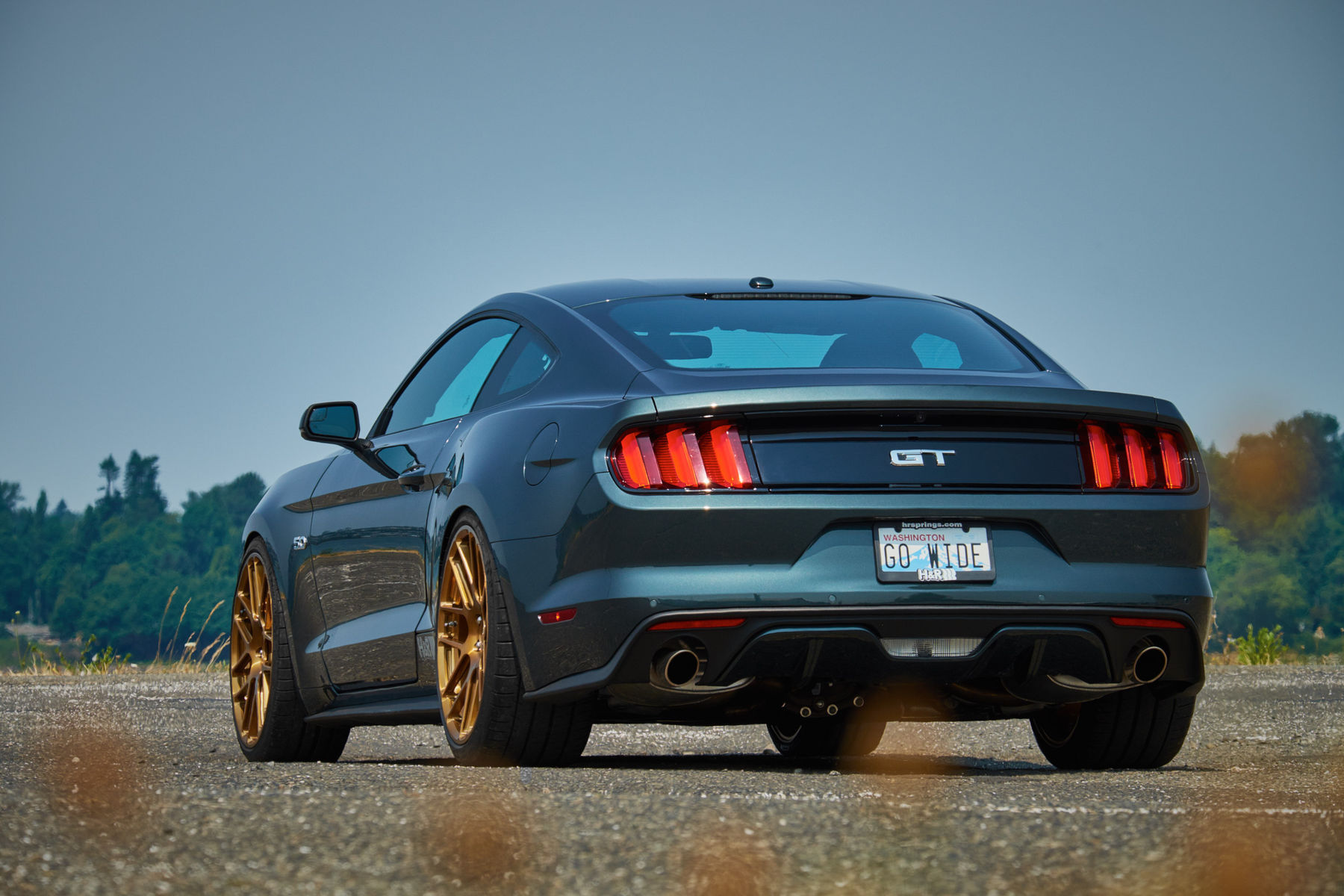 2015 Ford Mustang | H&R Springs Mustang on Forgeline SE1 Wheels - Rear Shot