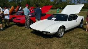 Panteras