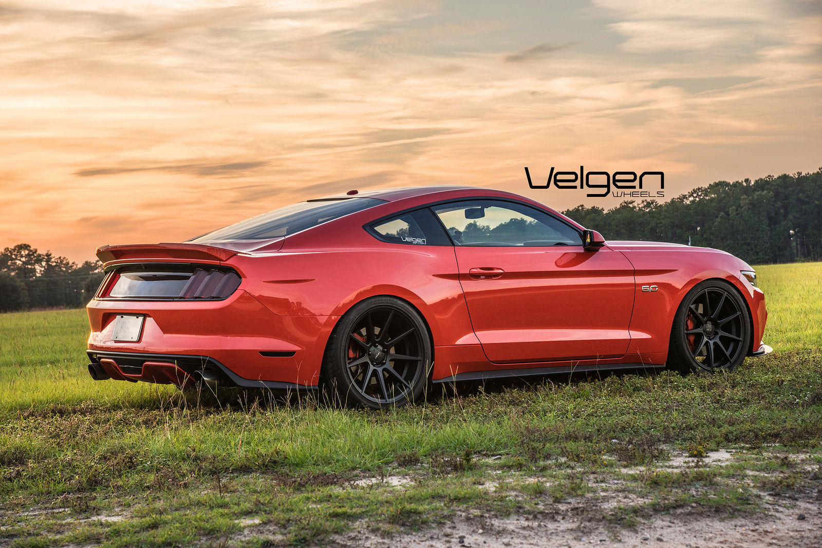 Ford Mustang gt 2015 Rear